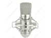 Alctron MC001 Studio Condenser Microphone